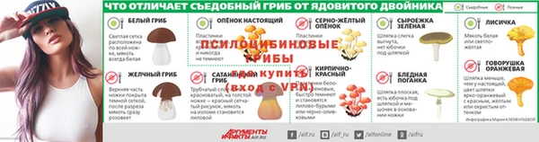 мдпв Осинники