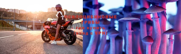 МДПВ Остров