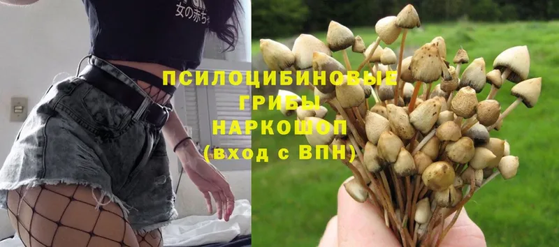 Галлюциногенные грибы Magic Shrooms  кракен ссылки  Берёзовка 