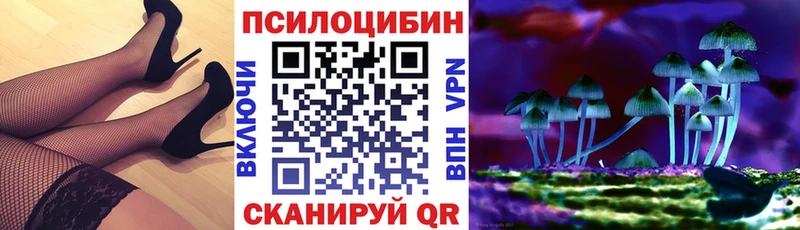 Псилоцибиновые грибы мицелий  Берёзовка 